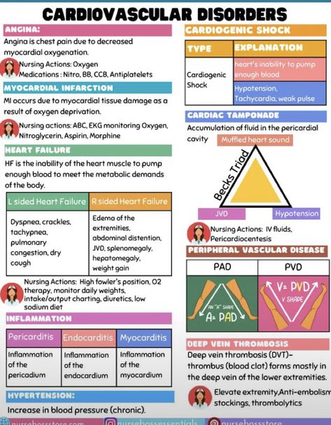 Nursing School Studying Cheat Sheets, Emt Study, Nursing School Essential, Cardiovascular Disorders, Nursing Study Guide, Nursing School Motivation, Nurse Study Notes, Nursing Student Tips, Medical Student Study