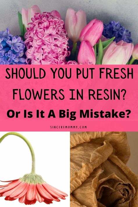 should you put fresh flowers in resin or is it a big mistake Flowers In Epoxy Resin Diy, Live Flowers In Resin, Drying Fresh Flowers, Flower Petals In Resin, How To Presevered Flower, Resin With Real Flowers, Epoxy Resin Flower Table, Resin Real Flowers Diy, Preserving Flowers In Resin Diy