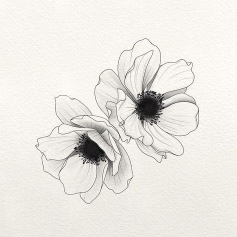 Anemones Tattoo, Anenome Flower Tattoos, Anemone Flower Drawing, Anemone Flower Tattoo, Anemone Drawing, Anemone Tattoo, Poppy Flower Drawing, White Anemones, Flower Tattoo Ideas