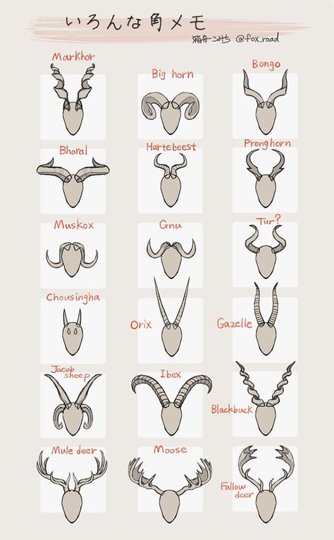 horn references by @fox_road on twitter Hair With Horns Reference, Animal Horns Reference, Different Types Of Horns, Horn Designs Art, Horned Character Design Male, Horn Anatomy, How To Draw Horns, Female With Horns, Character Horns