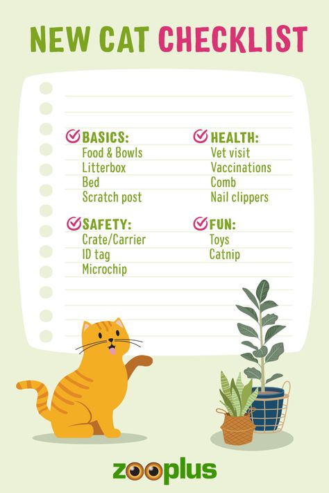 New Cat Checklist, Cat Checklist, Getting A Kitten, Cat Flap, Food Cat, Pet Tips, Cat Essentials, Bronze Award, Kitten Care