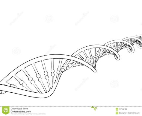 DNA Strand. Isolated On White Background.Sketch Illustration. Stock Illustration - Illustration of model, helix: 117662106 Dna Sketch, Dna Drawing, Background Sketch, Dna Strand, Dna Helix, Sketch Illustration, Biotechnology, Of Model, Helix