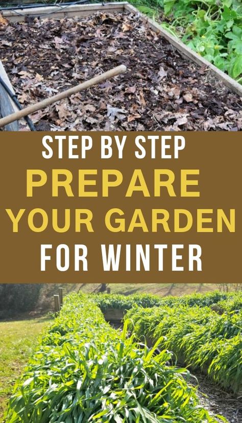 Winterizing Vegetable Garden, How To Winterize Your Garden, How To Winterize Your Vegetable Garden, Preparing Garden For Winter, How To Prepare Garden For Winter, Prepping Garden For Winter, How To Winterize Raised Garden Beds, How To Winterize Garden Beds, Winterizing Raised Garden Beds