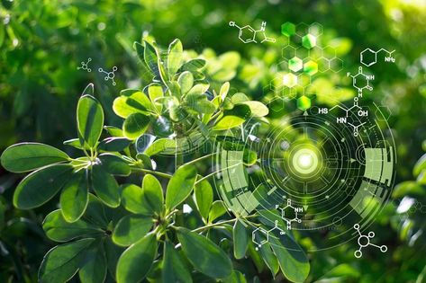 Biology Laboratory, Science Plants, Agriculture Photography, Plant Physiology, Farm Layout, Plant Science, Motion Graphics Design, Farm Design, Plant Wallpaper