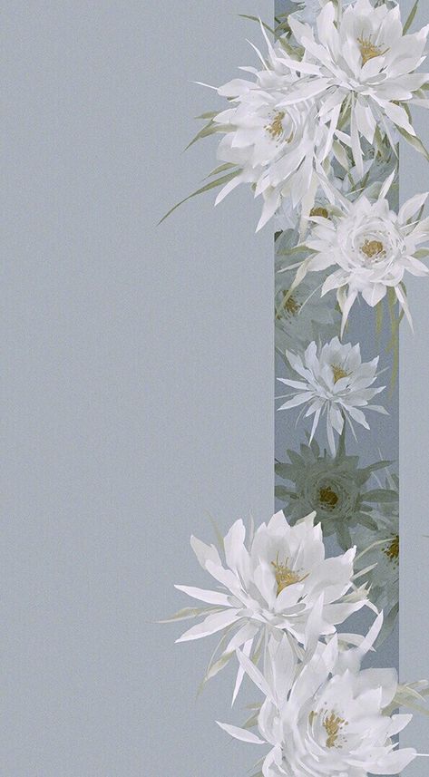 White Flowers Aesthetic Background, White Chinese Aesthetic, Gray White Wallpaper, White Flowers Wallpaper, White Flower Wallpaper, Aesthetic Gray, Chinese Beautiful, Art Coquillage, Chinese Aesthetic