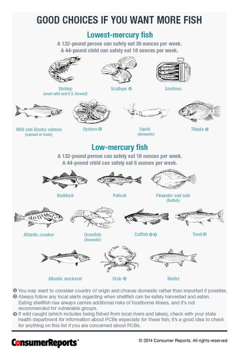 Low Mercury and High Mercury Fishes - Consumer Reports Magazine Low Mercury Fish, Pescatarian Lifestyle, Pescatarian Diet, Alaska Salmon, Nutrition Chart, Shrimp Scallops, Make Ahead Meals, Low Fat Recipes, Food Facts