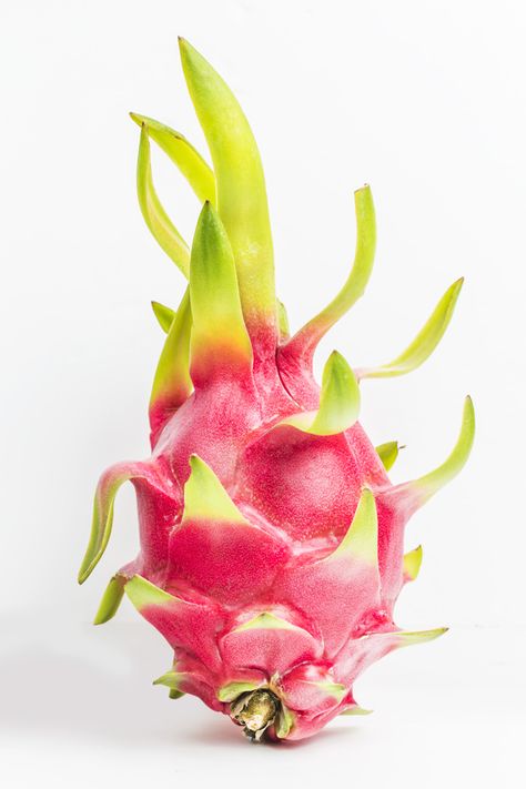 Pink & Green dragon fruit Dragon Fruit Dessert, Tropical Fruit Photography, Dragons Tattoos, Support Drawing, Fruit Cubes, Drawing Dragon, Dragons Tattoo, Thanh Long, Tattoo Dragon