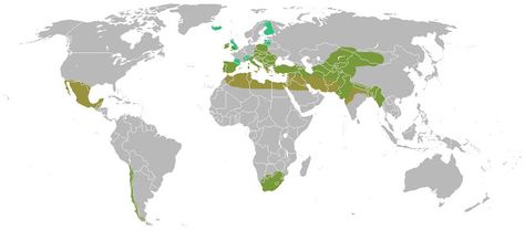 Rh Negative Blood Type Secrets: January 2013 Blank World Map, The Metric System, Metric System, British Empire, المملكة العربية السعودية, Visual Learners, Countries Of The World, World History, Peta