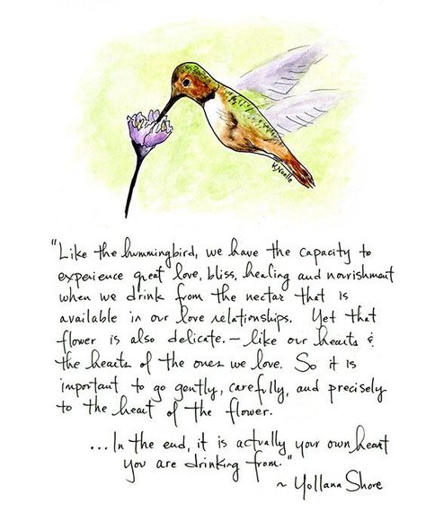 1000+ Hummingbird Quotes on Pinterest | Quotes, For Her and Tree ... Hummingbird Quotes, Hummingbird Meaning, Step Quotes, Hummingbird Tattoo Meaning, Hummingbird Symbolism, Steps Quotes, Attracted To Someone, Hummingbird Pictures, Bird Quotes