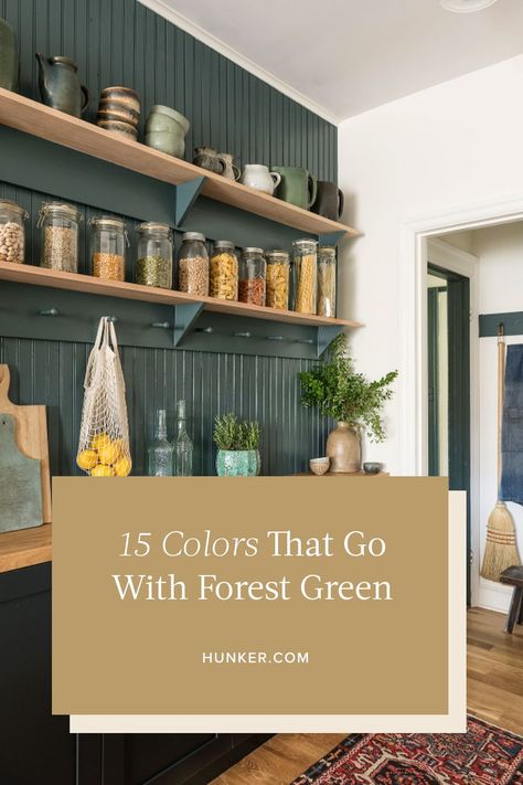 Green Kitchen Feature Wall, Curtains For Forest Green Bedroom, Forest Green Paint Color Accent Walls, Forest Green Bathroom Walls, Colors That Compliment Forest Green, Cabin Green Paint, Teal And Forest Green, Forest House Color Palette, Kitchen Forest Green