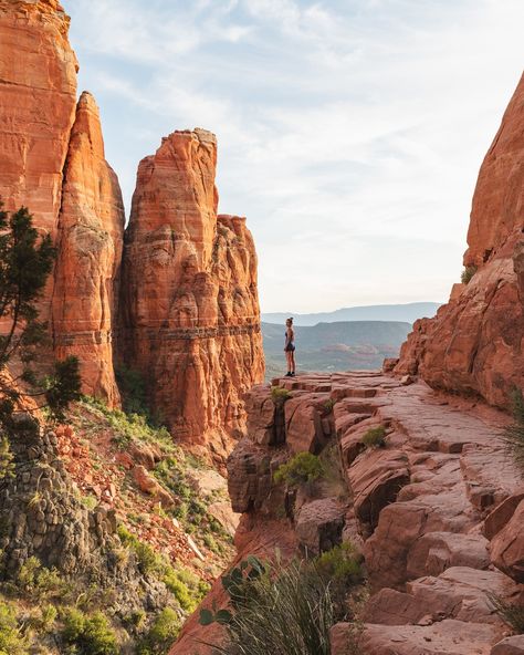 From one of my favourite hikes in Sedona 📍 Cathedral Rock #sedona #visitarizona #roadtripusa #hikemore #sunsethike Hiking Arizona, Sedona Hiking, West Fork Trail Sedona, Easy Hikes In Sedona, Sedona Easy Hikes, Cathedral Rock Sedona, Sedona Hikes, Sedona Cathedral Rock, Visit Arizona