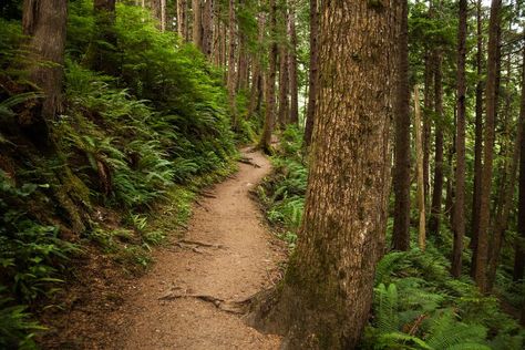 Brighton Marina, Beach Rides, Oregon Beaches, Coastal Cities, Cannon Beach, Crystal Clear Water, Beach Sand, Park City, Horseback Riding