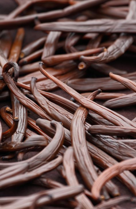 Cultivating a quality vanilla bean is an arduous process. It is so labor intensive, that the vanilla bean is the second most expensive spice in the world, just behind saffron. Vanilla beans are grown in tropical regions around the world, where year-round warm temperatures and sufficient rainfall create soil conditions and climate that are suitable for proper growth. Vanilla Bean Aesthetic, Growing Vanilla, Grow Vanilla Beans, Vanilla Background, Vanilla Aesthetic, Vanilla Plant, Bean Pods, Madagascar Vanilla Beans, Vanilla Beans