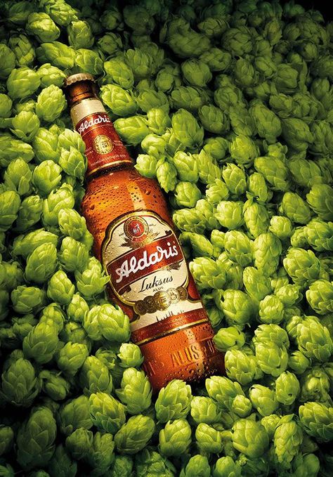 Beer Product Photography, Pub Photography, Liquor Ads, Juice Ad, Beer Hops, Beer Photography, Beer Photos, Beer Advertising, Beer Ad