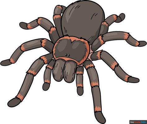 Learn How to Draw a Tarantula: Easy Step-by-Step Drawing Tutorial for Kids and Beginners. See the full tutorial at https://easydrawingguides.com/how-to-draw-a-tarantula/ . Tarantula Drawing, Monster Craft, Animal Art Projects, Drawing Guides, Easy Drawing Tutorial, Drawing Tutorials For Kids, Popular Cartoons, Kawaii Illustration, Cool Art Projects