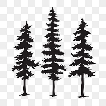 pine tree,tree clipart,tree silhouette,pine tree clipart,silhouette,pine,tree,silhouette clipart,trees clipart,plant,pinus cembra,pinus resinosa,trees,green,plant clipart,green clipart,pine tree pictures,hand drawn pine tree,tree branch,leaves,black clipart,tree vector,forest,pine material,pine vector,plant vector,fir tree,element,material,ficus rubiginosa,larix kaempferi,pinus aristata,pinus merkusii,pinus patula,pinus roxburghii,larix decidua,araucaria heterophylla,pinus canariensis,pinus unci Fir Tree Silhouette, Forest Tree Silhouette, Simple Pine Tree Silhouette, Free Pine Tree Svg, Pine Tree Graphic, Pinus Patula, Pinus Tree, Pine Tree Pictures, Larix Decidua