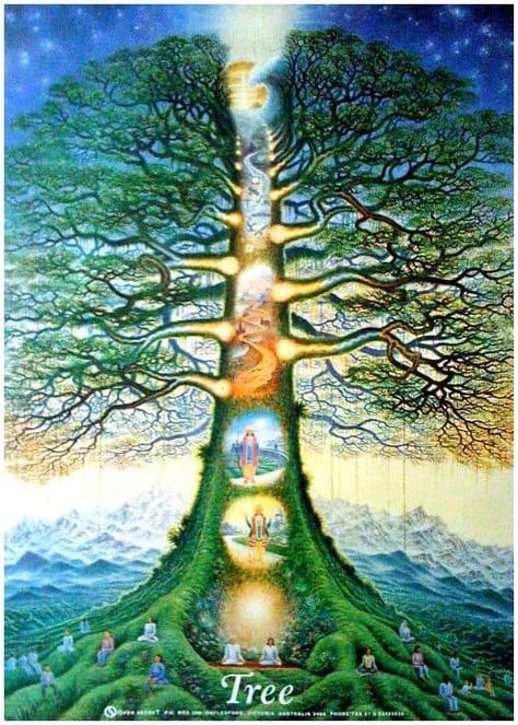 Tree Of Life Meaning, Boom Kunst, Art Visionnaire, Frida Art, Tree Of Life Art, Spiritual Artwork, Soyut Sanat Tabloları, Les Chakras, The Tree Of Life