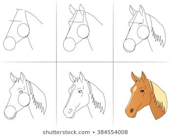 Six steps of drawing a horse head from line to final color execution Head Drawing Step By Step, Horse Face Drawing, Easy Horse Drawing, Hur Man Ritar Blommor, Steps Drawing, Horse Head Drawing, Drawing Horse, Horses Head, Horse Art Drawing