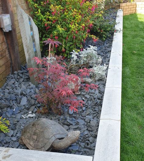 Graphite Grey Slate Chippings 40mm - Decorative Aggregates Blue Slate Garden Ideas, Grey Slate Garden Chippings, Slate Stone Landscaping, Slate Rock Garden, Slate Rocks Landscaping, Plum Slate Garden Ideas, Slate Chippings Garden Ideas, Slate Chips Landscaping, Slate Rock Landscaping