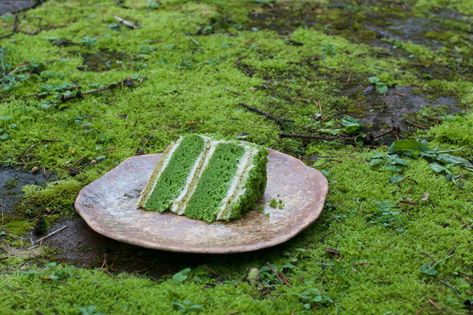 Nettle Cake: An Ode To Moss Gazing Turkish Cake, Nettle Cake, Edible Moss, Moss Cake, Nettle Recipes, Matcha Almond, Cake Design For Men, Fairy Food, Lemon Buttercream