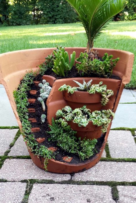 Broken Pot Garden, Kaktus Dan Sukulen, Fairy Garden Pots, Plant Arrangement, Fairy Things, Plants Diy, Pot Garden, Fairy Garden Designs, Plants Growing