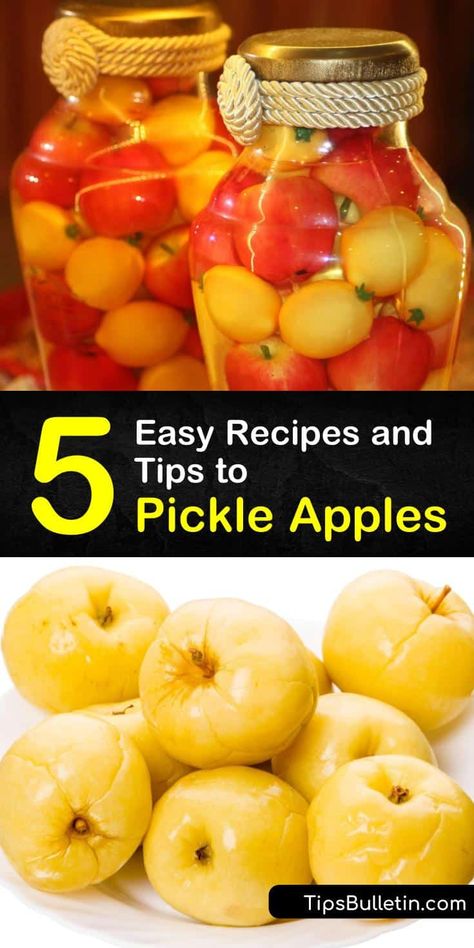 Pickled Apples Recipe, Crab Apple Recipes, Pickled Pears, Pickled Apples, Pickled Fruit, Canning Apples, Preserving Vegetables, Winter Veggies, Baby Apple