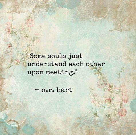 Some souls just understand each other upon meeting. #Soulmates #Friendship #Love N R Hart, Poetry Language, Boho Quotes, Inspiring Sayings, Dear Husband, Life Quotes Love, Rumi, Friends Quotes, Friendship Quotes