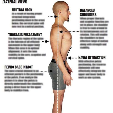 Challenging Naudi Aguilar of Functional Patterns to a Debate - Bret Contreras Functional Patterns, Bret Contreras, Sagittal Plane, Chest Fly, Olympic Lifting, Strength Conditioning, Poor Posture, Functional Training, Bench Press