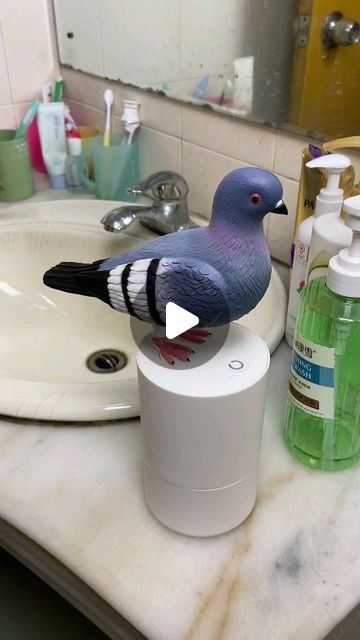 White Pigeon, Pigeon Bird, Unique Home Accessories, Instagram Link, Wash Your Hands, Unique Home, Pigeon, Soap Dispenser, Daily Routine