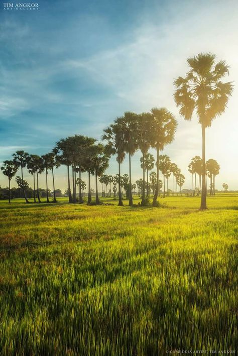 Cambodia Landscape, Farm Moodboard, Cambodia Aesthetic, Fb Profile Photo, Fb Profile, Cambodia Travel, Countryside Landscape, Anime Head, Science Projects For Kids