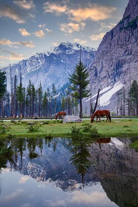 Mahodand Lake, Pakistan Photography, Muharram Wallpaper, Lovely Landscapes, Pakistan Culture, Hunza Valley, Aerial Photography Drone, Pakistan Travel, Photoshoot Aesthetic