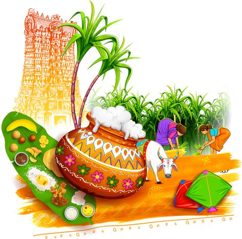 Happy Pongal In Tamil, Pongal Photos, Pongal Festival Images, Happy Makar Sankranti Images, Mattu Pongal, Pongal Images, Thai Pongal, Makar Sankranti Image, Tamil Greetings