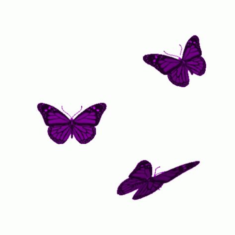 Art Of Butterfly, Fly Gif, Sparkle Image, Butterfly Gif, Cute Profile, Gif Background, Rainbow Butterflies, Instagram Emoji, Print Design Art