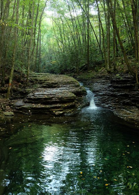 Devil's Bathtub in Fort Blackmore, VA by Corrina Beall - Flickr Devils Bathtub, Break From Reality, Virginia Travel, Virginia Is For Lovers, Crystal Green, Hidden Places, Green Water, 2024 Vision, Camping And Hiking