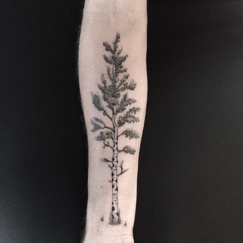 Aspen tree on the forearm today for @skitchell88 thanks dude, pleasure to meet you! #handpoke #handpokedtattoo #handpoked #tattoo #denvertattoo #aspen #aspentattoo #colorado #dotwork #blackwork Tree Tattoo Shoulder, Aspen Tattoo, Aspen Tree Tattoo, Aspen Trees Tattoo, Skin Doodles, Birch Tree Tattoos, Trees Tattoo, Tree Tat, Tree Sleeve Tattoo