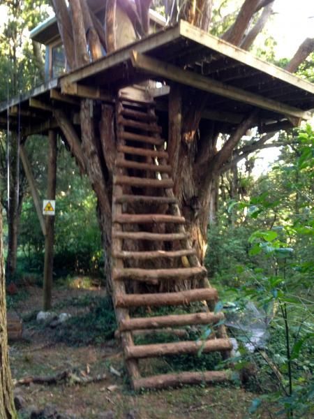 DIY Treehouse Ideas ~ Bees and Roses Treehouse Design Architecture, Diy Treehouse, Diy Tree House, Tree Forts, Backyard Treehouse, Tree House Interior, Simple Tree House, Tree House Ideas, Kids Tree