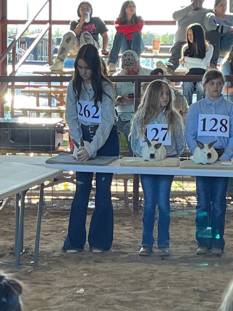 county stock show, market rabbits Showmanship Outfit Livestock, Sheep Showing Outfits, Ffa Show Outfit, Showing Livestock Outfits, 4h Outfits, Show Outfits Livestock, 4-h Aesthetic, Livestock Judging Outfits, Livestock Aesthetic