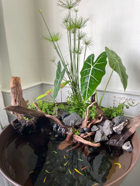 Terrarium With Pond, Zen Garden Fountain, Mini Pond Ideas, Patio Ponds, Aqua Scape, Aquascape Ideas, Mini Pond, Fish Pond Gardens, Patio Pond