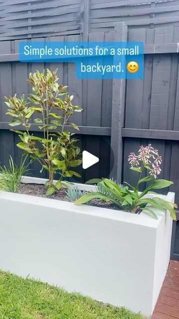 Adam Hompas Landscapes on Instagram: "For a small back yard, we built a block wall, then rendered it. Built a bench seat from silver top ash @radialtimber  @render_elite  @dinsannursery  @coolabah_turf  @kilafencepainting   #landscaping #render #garden #australiangarden #turf #" Rendered Garden Walls, Built In Garden Seating, Australian Garden, Built In Seating, Silver Top, Built In Bench, Block Wall, Garden Seating, Silver Tops