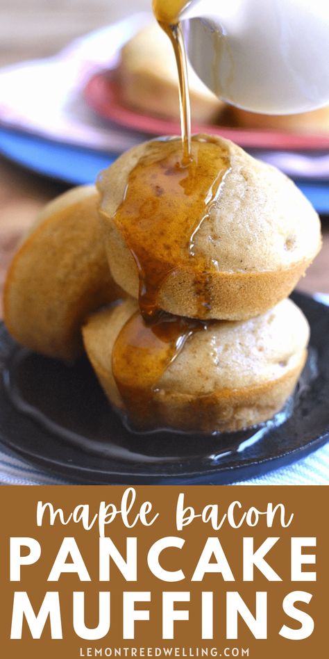 Sweet Maple Bacon Pancake Muffins flavored with maple syrup and real bacon. Serve them warm drizzled with additional syrup or eat them on the go for a quick, easy, and delicious breakfast or snack! Perfect for back to school! Maple Bacon Pancake Muffins, Maple Pancake Muffins, Bacon Pancake Bites, Maple Pancake Bites, On The Go Pancakes, Maple Bacon Muffins, Maple Bacon Pancake Bites, Bacon Pancake Muffins, Pancake Sausage Muffins