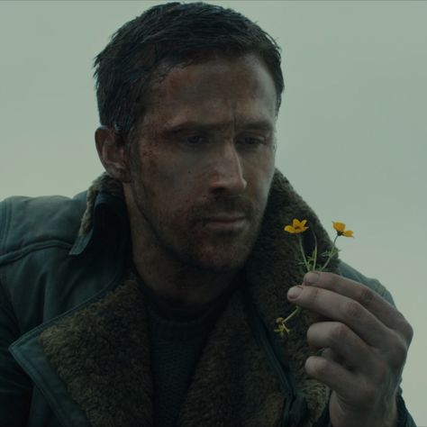 Ryan Gosling as Officer K holding a flower in Blade Runner 2049 Man holding a flower. #bladerunner #movie #actor #flower Ryan Gosling Blade Runner, Officer K, Runner Quotes, Cheek Fillers, To Be Human, Denis Villeneuve, Райан Гослинг, Be Human, Banana Art