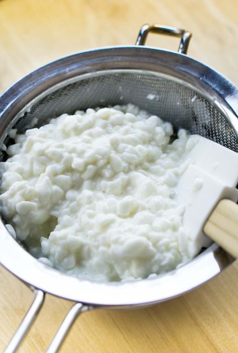 Homemade cottage cheese Cottage Cheese Recipe, Homemade Cottage Cheese, Cheese Recipes Homemade, Cheese Making Recipes, Cheese At Home, Goat Milk Recipes, Dear Dairy, David Lebovitz, Milk Products