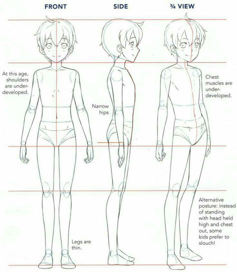 Boy Body, Drawing Anime Bodies, Body Tutorial, Drawing Body Poses, Anatomy Tutorial, Body Sketches, Body Drawing Tutorial, Character Model Sheet, Manga Drawing Tutorials