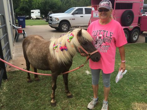 Pony Ride Birthday Party, Mobile Petting Zoo, Petting Zoo Party, Miniature Ponies, 7 Birthday, Zoo Party, Pony Rides, Petting Zoo, Mini Farm