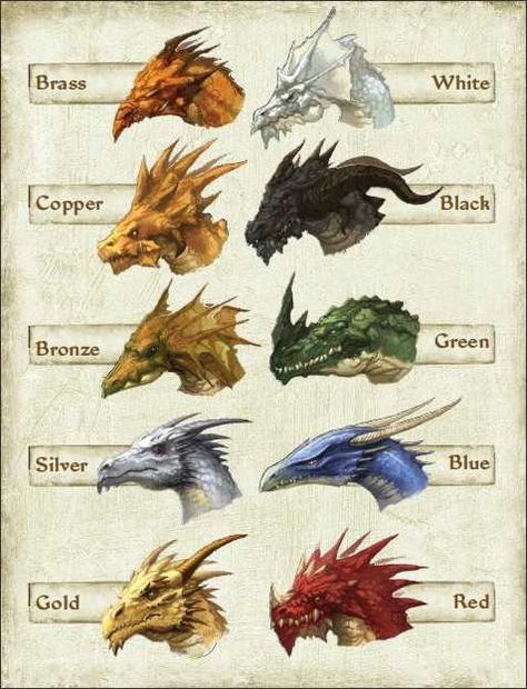 D&D question! - Imgur Chromatic Dragon, 4 Kings, Dragon Heads, Types Of Dragons, Dragon Sketch, Dragon Images, Dragon Pictures, Dragon Artwork, Mythical Creatures Art