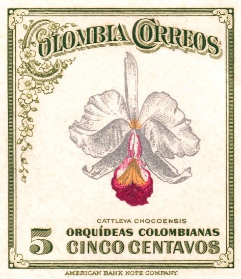 Colombian Orchid, Vintage Colombia, Orchid Cattleya, Golf Business, Stamp Postage, Cattleya Orchid, Tattoos Women, Graphic Ideas, Retro Graphics