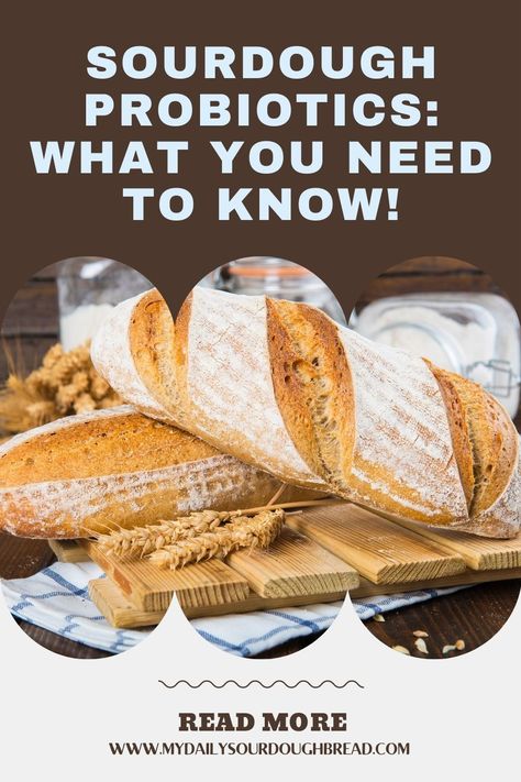 Sourdough bread is delicious and loaded with health benefits for our bodies. And since it’s growing in popularity, many people are trying their best to make a healthier choice and incorporate this flavorful bread into their daily diets. The sourdough starter contains lots of probiotics that can be essential for digestion, promoting good gut health compared to other bread. | Does Sourdough Bread Have Probiotics? | What do Probiotics in Sourdough Bread Do? | #probiotics #guthealth #sourdough Sourdough Troubleshooting, Bake Sourdough Bread, Probiotic Food, Good Gut Health, Homemade Sourdough Bread, Whole Grain Flour, Wild Yeast, Fodmap Recipes, Health Guide