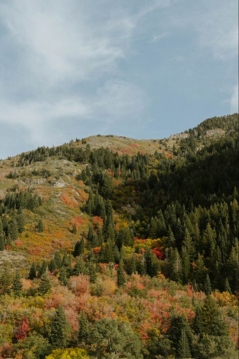 Fall Travel Aesthetic, Autumn Hike Aesthetic, Mountain Pictures Aesthetic, Colorado Fall Aesthetic, September Scenery, Fall Mountain Aesthetic, Fall Mood Aesthetic, Early Fall Aesthetic, Fall Fashion College