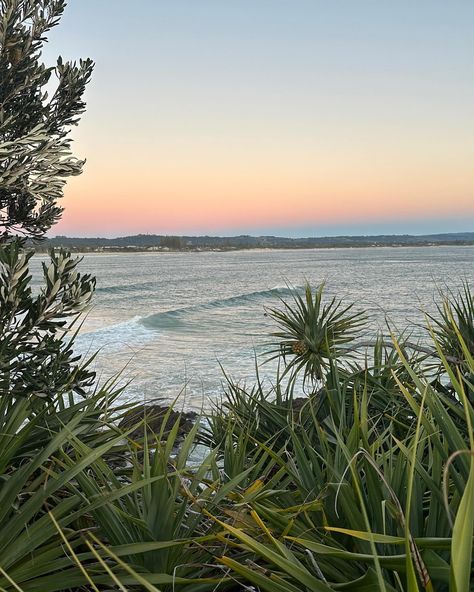 have a beautiful day in byron bay! 🌈🌺 Byron Bay Style, Aussie Summer Aesthetic, Byron Bay Aesthetic, Australia Aesthetic, Aussie Summer, Beach Tree, Coastal Summer, Bay Photo, Byron Bay Australia