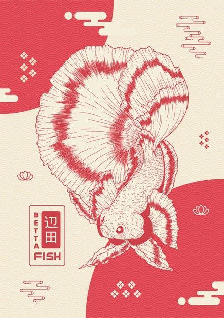 Beta Fish Illustration, Betta Fish Sketch, Fish Sketch, Fish Poster, Fish Background, Fish Animal, Retro Style Posters, Superhero Poster, Vector Poster